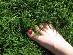 Healthy foot on grass - how to treat ingrown toenails